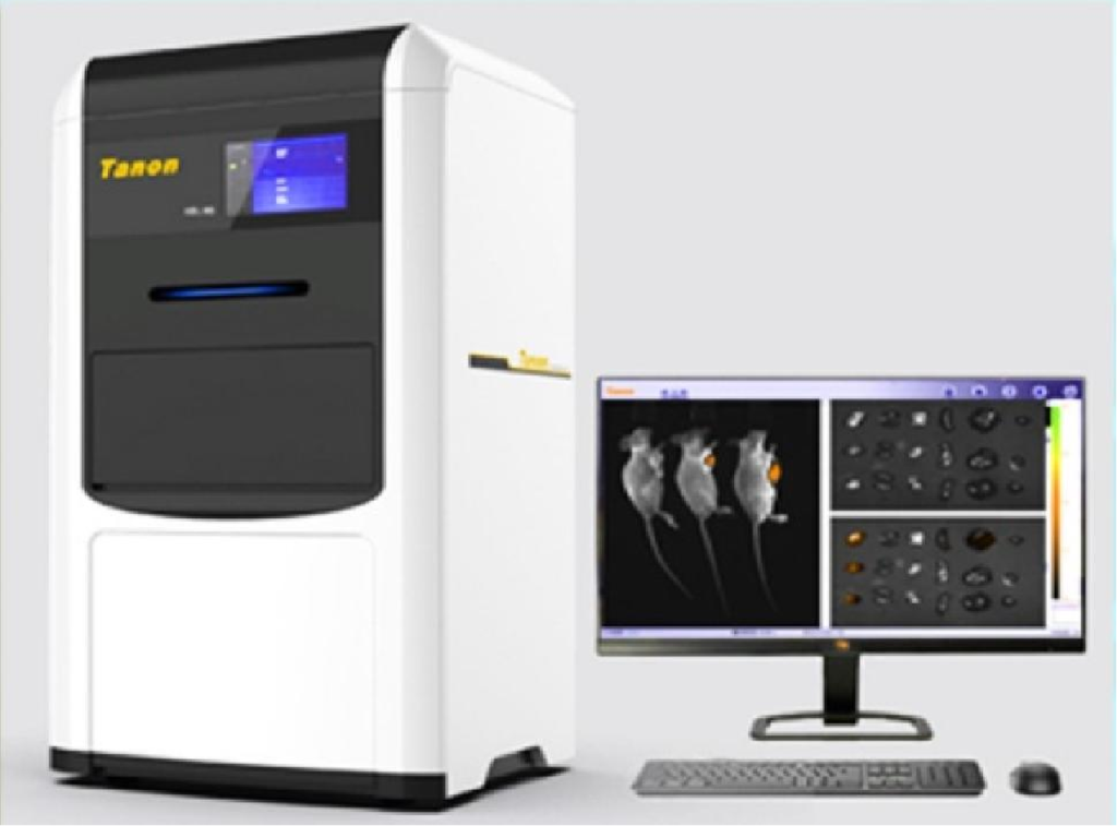 ⼩动物活体成像